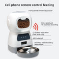 Wifi Smart APP Pet Feeder Household use Microchip Dog Automatic Pet Feeder Automatic Pet Feeder